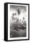 Coconut Grove, Lahaina, 1910-Ray Jerome Baker-Framed Stretched Canvas