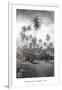 Coconut Grove, Lahaina, 1910-Ray Jerome Baker-Framed Art Print