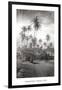 Coconut Grove, Lahaina, 1910-Ray Jerome Baker-Framed Art Print