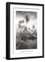 Coconut Grove, Lahaina, 1910-Ray Jerome Baker-Framed Art Print