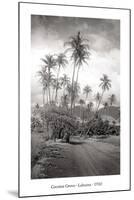 Coconut Grove, Lahaina, 1910-Ray Jerome Baker-Mounted Art Print