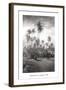 Coconut Grove, Lahaina, 1910-Ray Jerome Baker-Framed Art Print