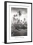 Coconut Grove, Lahaina, 1910-Ray Jerome Baker-Framed Art Print