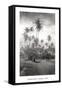 Coconut Grove, Lahaina, 1910-Ray Jerome Baker-Framed Stretched Canvas