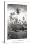 Coconut Grove, Lahaina, 1910-Ray Jerome Baker-Stretched Canvas