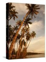 Coconut Grove, Molokai, Hawaii-Douglas Peebles-Stretched Canvas