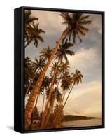 Coconut Grove, Molokai, Hawaii-Douglas Peebles-Framed Stretched Canvas