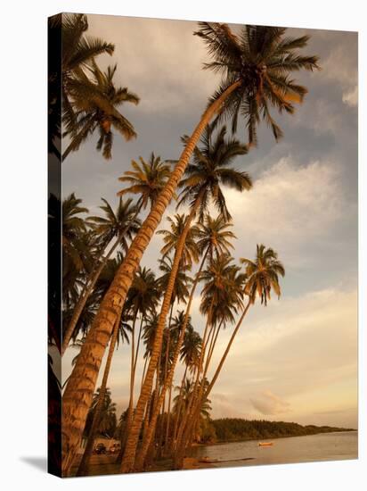 Coconut Grove, Molokai, Hawaii-Douglas Peebles-Stretched Canvas