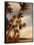 Coconut Grove, Molokai, Hawaii-Douglas Peebles-Framed Stretched Canvas