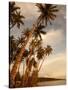 Coconut Grove, Molokai, Hawaii-Douglas Peebles-Stretched Canvas