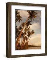 Coconut Grove, Molokai, Hawaii-Douglas Peebles-Framed Photographic Print