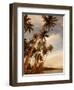 Coconut Grove, Molokai, Hawaii-Douglas Peebles-Framed Photographic Print