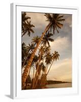 Coconut Grove, Molokai, Hawaii-Douglas Peebles-Framed Photographic Print