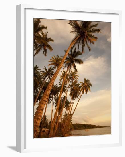 Coconut Grove, Molokai, Hawaii-Douglas Peebles-Framed Photographic Print