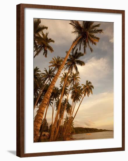 Coconut Grove, Molokai, Hawaii-Douglas Peebles-Framed Photographic Print