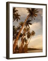 Coconut Grove, Molokai, Hawaii-Douglas Peebles-Framed Photographic Print