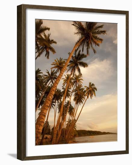 Coconut Grove, Molokai, Hawaii-Douglas Peebles-Framed Photographic Print