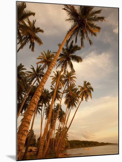 Coconut Grove, Molokai, Hawaii-Douglas Peebles-Mounted Photographic Print