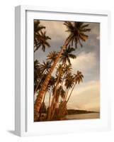 Coconut Grove, Molokai, Hawaii-Douglas Peebles-Framed Photographic Print