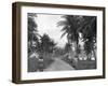 Coconut Grove, Port Antonio, Jamaica, C1905-Adolphe & Son Duperly-Framed Giclee Print