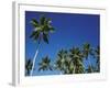 Coconut Grove-Chris Simpson-Framed Giclee Print