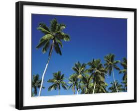 Coconut Grove-Chris Simpson-Framed Giclee Print