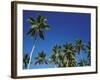 Coconut Grove-Chris Simpson-Framed Giclee Print