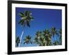 Coconut Grove-Chris Simpson-Framed Giclee Print