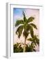 Coconut - In the Style of Oil Painting-Philippe Hugonnard-Framed Giclee Print