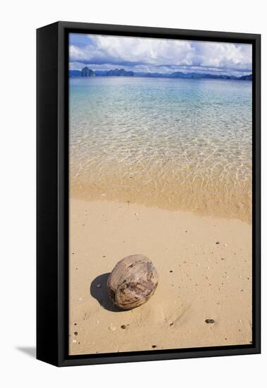 Coconut on a Sandy Beach in the Bacuit Archipelago, Palawan, Philippines-Michael Runkel-Framed Stretched Canvas