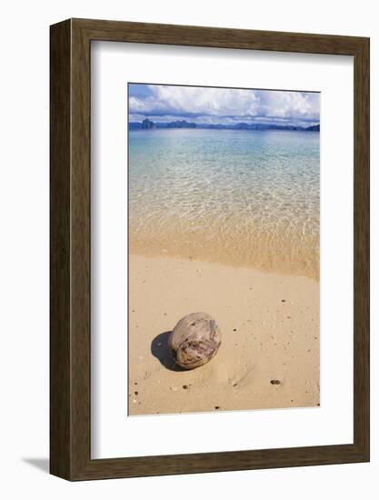 Coconut on a Sandy Beach in the Bacuit Archipelago, Palawan, Philippines-Michael Runkel-Framed Photographic Print