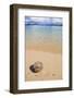 Coconut on a Sandy Beach in the Bacuit Archipelago, Palawan, Philippines-Michael Runkel-Framed Photographic Print