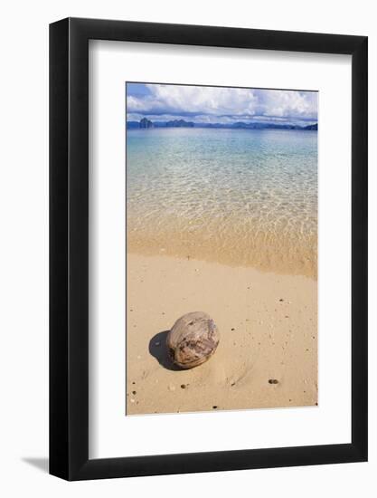 Coconut on a Sandy Beach in the Bacuit Archipelago, Palawan, Philippines-Michael Runkel-Framed Photographic Print