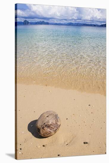 Coconut on a Sandy Beach in the Bacuit Archipelago, Palawan, Philippines-Michael Runkel-Stretched Canvas