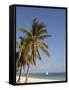 Coconut Palm and Dhow, Pangane Beach, Mozambique, Africa-null-Framed Stretched Canvas