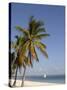 Coconut Palm and Dhow, Pangane Beach, Mozambique, Africa-null-Stretched Canvas