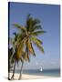 Coconut Palm and Dhow, Pangane Beach, Mozambique, Africa-null-Stretched Canvas