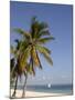 Coconut Palm and Dhow, Pangane Beach, Mozambique, Africa-null-Mounted Photographic Print