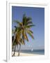 Coconut Palm and Dhow, Pangane Beach, Mozambique, Africa-null-Framed Photographic Print