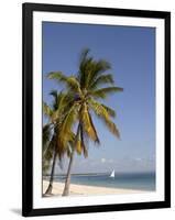 Coconut Palm and Dhow, Pangane Beach, Mozambique, Africa-null-Framed Photographic Print