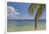 Coconut palm fronds hang down over the shore along the beach at San Juan, Siquijor, Philippines, So-Nigel Hicks-Framed Photographic Print