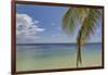 Coconut palm fronds hang down over the shore along the beach at San Juan, Siquijor, Philippines, So-Nigel Hicks-Framed Photographic Print