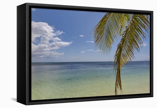 Coconut palm fronds hang down over the shore along the beach at San Juan, Siquijor, Philippines, So-Nigel Hicks-Framed Stretched Canvas