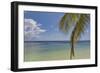 Coconut palm fronds hang down over the shore along the beach at San Juan, Siquijor, Philippines, So-Nigel Hicks-Framed Photographic Print