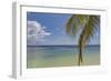 Coconut palm fronds hang down over the shore along the beach at San Juan, Siquijor, Philippines, So-Nigel Hicks-Framed Photographic Print