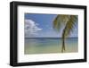 Coconut palm fronds hang down over the shore along the beach at San Juan, Siquijor, Philippines, So-Nigel Hicks-Framed Photographic Print