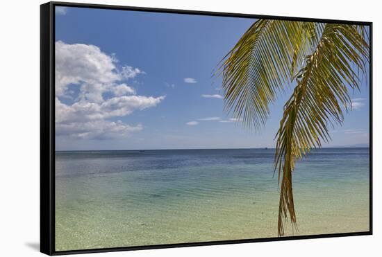 Coconut palm fronds hang down over the shore along the beach at San Juan, Siquijor, Philippines, So-Nigel Hicks-Framed Stretched Canvas