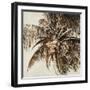 Coconut Palm I-Patricia Pinto-Framed Art Print