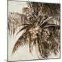 Coconut Palm I-Patricia Pinto-Mounted Art Print