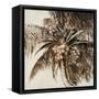 Coconut Palm I-Patricia Pinto-Framed Stretched Canvas